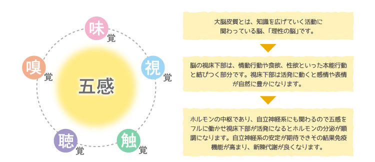 給食サービスイメージ2